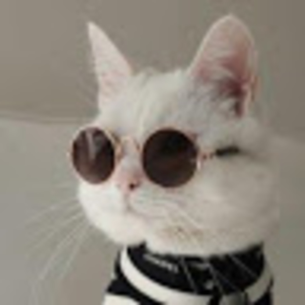 Meet your Posher, Linda rose